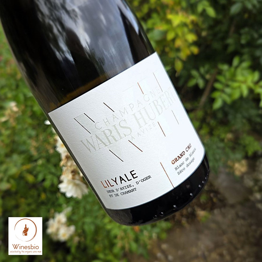 Waris Hubert Lilyale Blanc de Blancs Zero Dosage Champagne Grand Cru